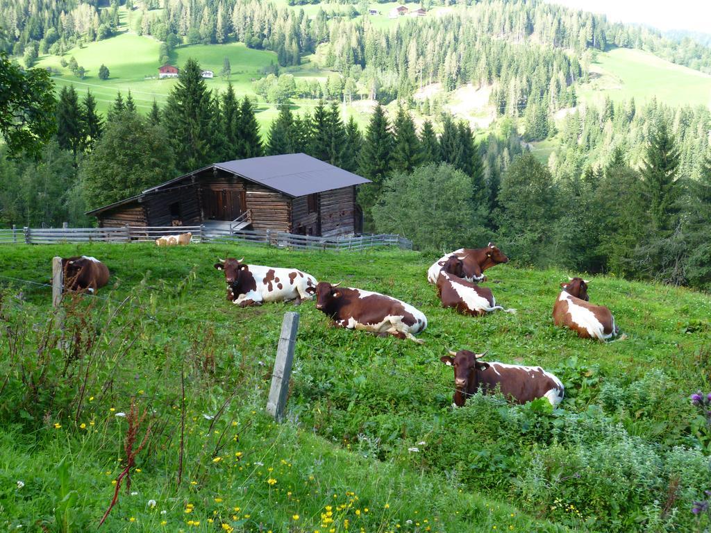 Appartements Oberhof Wagrain Buitenkant foto