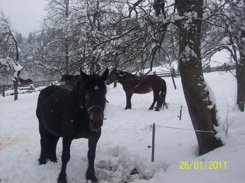 Appartements Oberhof Wagrain Buitenkant foto