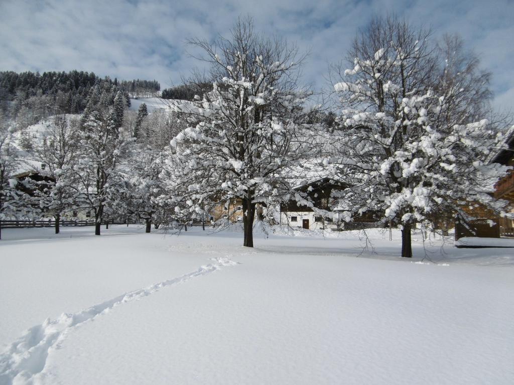 Appartements Oberhof Wagrain Buitenkant foto